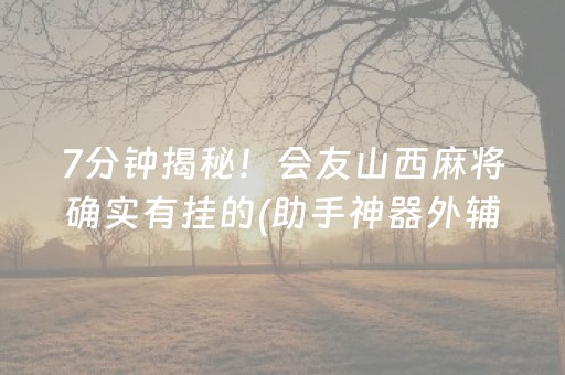 7分钟揭秘！会友山西麻将确实有挂的(助手神器外辅工具)