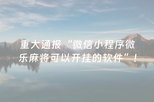 重大通报“微信小程序微乐麻将可以开挂的软件”!(确实是有挂)-抖音