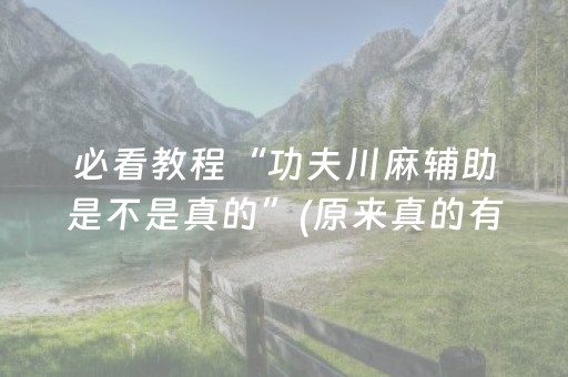 必看教程“功夫川麻辅助是不是真的”(原来真的有挂)-抖音