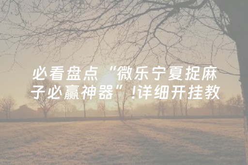 必看盘点“微乐宁夏捉麻子必赢神器”!详细开挂教程-抖音