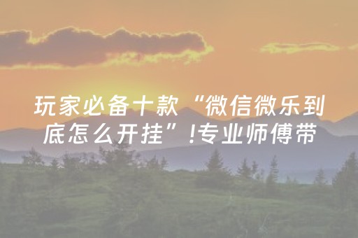 玩家必备十款“微信微乐到底怎么开挂”!专业师傅带你一起了解（详细教程）-抖音