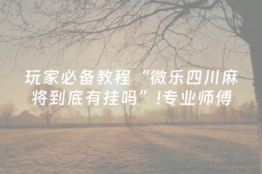 玩家必备教程“微乐四川麻将到底有挂吗”!专业师傅带你一起了解（详细教程）-抖音