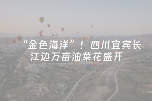 玩家必备教程“手机扑克专用神器”（详细透视教程）-哔哩哔哩