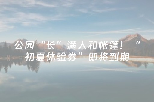 实测结果“手机斗牛软挂神器”（详细透视教程）-哔哩哔哩