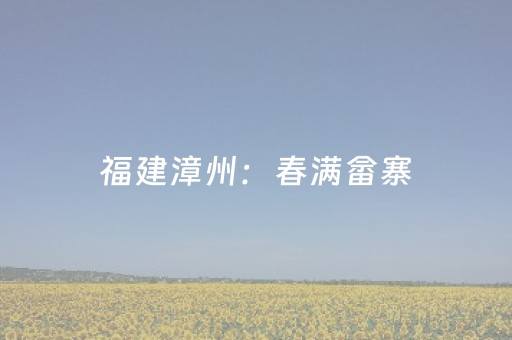 3分钟学会“胡乐邯郸麻将胡牌技巧”（详细透视教程）-哔哩哔哩