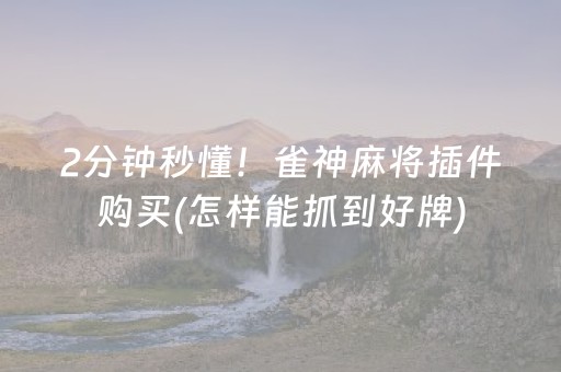 2分钟秒懂！雀神麻将插件购买(怎样能抓到好牌)