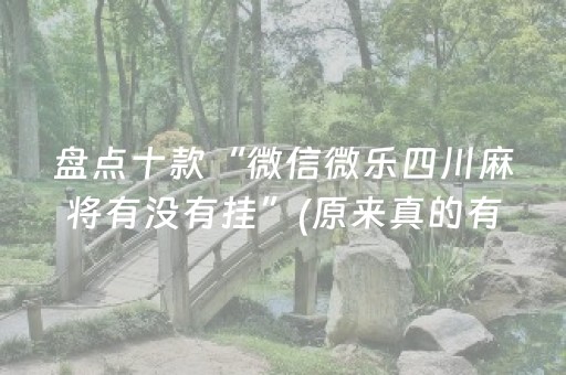 盘点十款“微信微乐四川麻将有没有挂”(原来真的有挂)-抖音