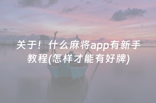 关于！什么麻将app有新手教程(怎样才能有好牌)