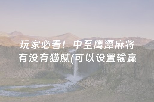 玩家必看！中至鹰潭麻将有没有猫腻(可以设置输赢吗)