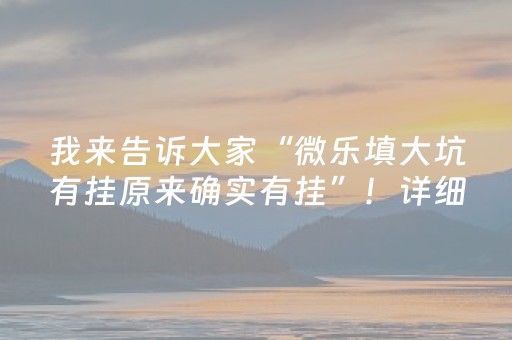 我来告诉大家“微乐填大坑有挂原来确实有挂”！详细开挂教程（确实真的有挂)-抖音