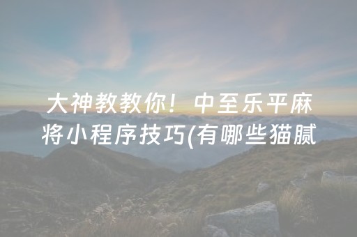 大神教教你！中至乐平麻将小程序技巧(有哪些猫腻)
