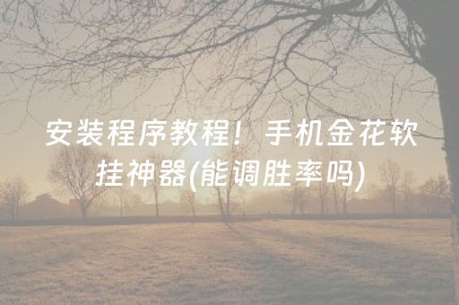 安装程序教程！手机金花软挂神器(能调胜率吗)