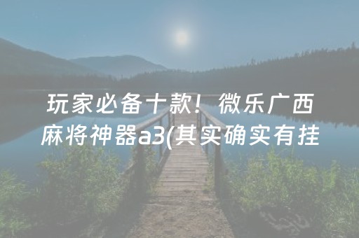 玩家必备十款！微乐广西麻将神器a3(其实确实有挂)