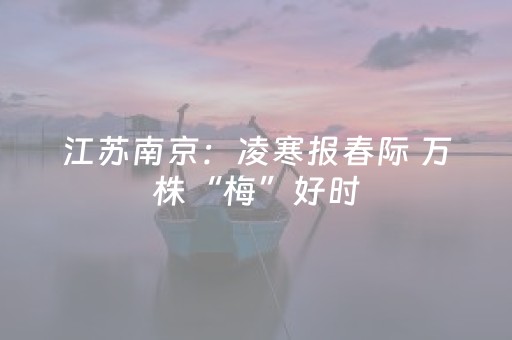 江苏南京：凌寒报春际 万株“梅”好时