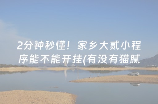 2分钟秒懂！家乡大贰小程序能不能开挂(有没有猫腻)