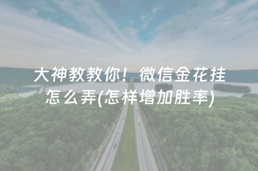 大神教教你！微信金花挂怎么弄(怎样增加胜率)