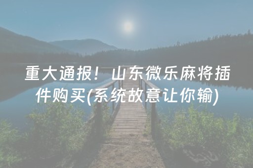 重大通报！山东微乐麻将插件购买(系统故意让你输)