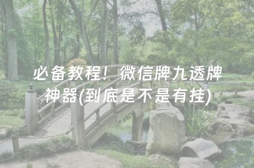 必备教程！微信牌九透牌神器(到底是不是有挂)