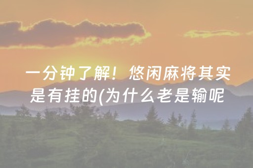 一分钟了解！悠闲麻将其实是有挂的(为什么老是输呢)