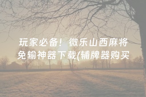 玩家必备！微乐山西麻将免输神器下载(辅牌器购买)