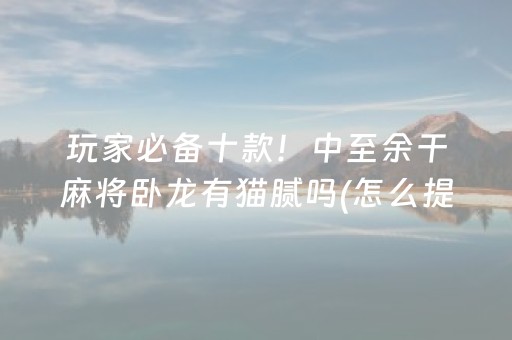 玩家必备十款！中至余干麻将卧龙有猫腻吗(怎么提高好牌几率)