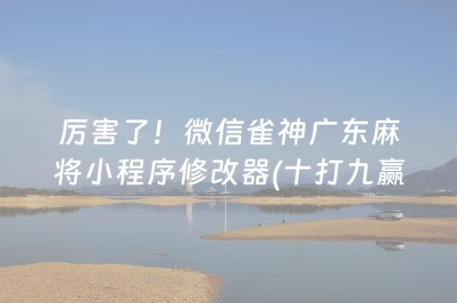 厉害了！微信雀神广东麻将小程序修改器(十打九赢的打法)