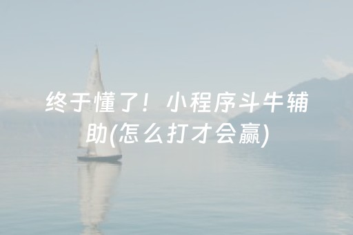 终于懂了！小程序斗牛辅助(怎么打才会赢)