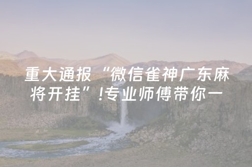 玩家实测“决胜麻将挂先试用后付款（专用辅牌神器免安装）