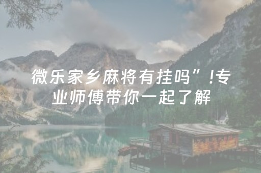 实测分析“微乐麻将怎么看对方有没有猫腻”（详细开挂教程）-哔哩哔哩