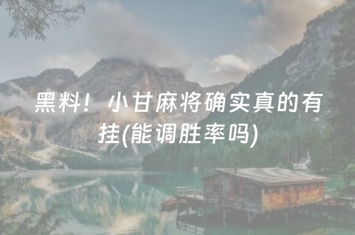 黑料！小甘麻将确实真的有挂(能调胜率吗)