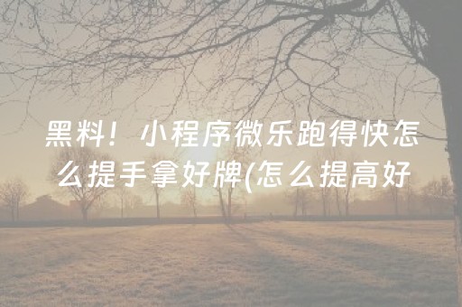 黑料！小程序微乐跑得快怎么提手拿好牌(怎么提高好牌几率)