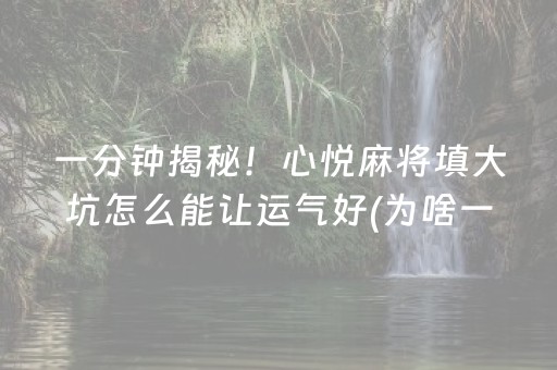 必看教程！“开心十三张辅助ios版”（详细开挂教程）-哔哩哔哩