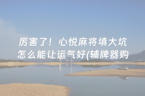 厉害了！心悦麻将填大坑怎么能让运气好(辅牌器购买)