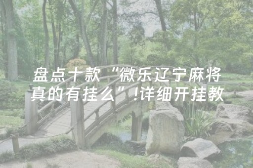 盘点十款“微乐辽宁麻将真的有挂么”!详细开挂教程-抖音