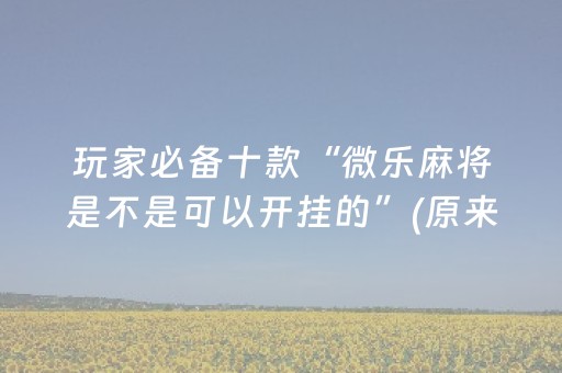玩家必备十款“微乐麻将是不是可以开挂的”(原来真的有挂)-抖音