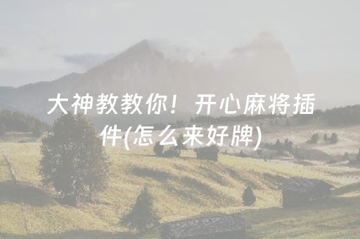 大神教教你！开心麻将插件(怎么来好牌)