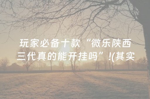 玩家必备十款“微乐陕西三代真的能开挂吗”!(其实确实有挂)-抖音
