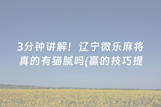 胜率设置方法“微乐陕西挖坑有外挂吗（专用辅牌神器免安装）