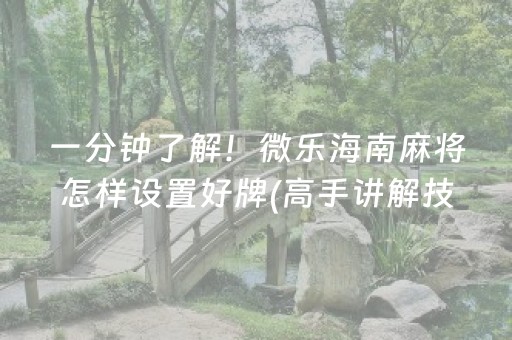 一分钟了解！微乐海南麻将怎样设置好牌(高手讲解技术)