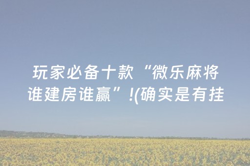 玩家必备十款“微乐麻将谁建房谁赢”!(确实是有挂)-抖音