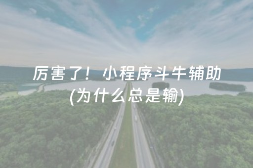 厉害了！小程序斗牛辅助(为什么总是输)