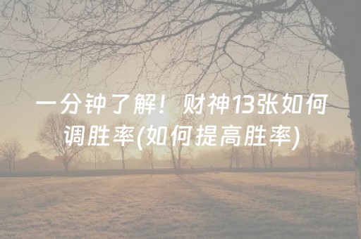 一分钟了解！财神13张如何调胜率(如何提高胜率)
