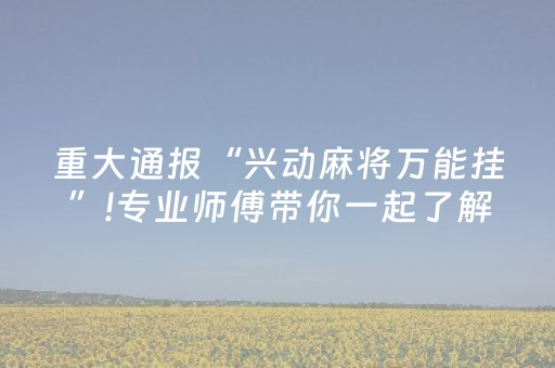 重大通报“兴动麻将万能挂”!专业师傅带你一起了解（详细教程）-抖音