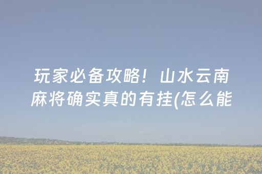 玩家必备攻略！山水云南麻将确实真的有挂(怎么能调好牌)