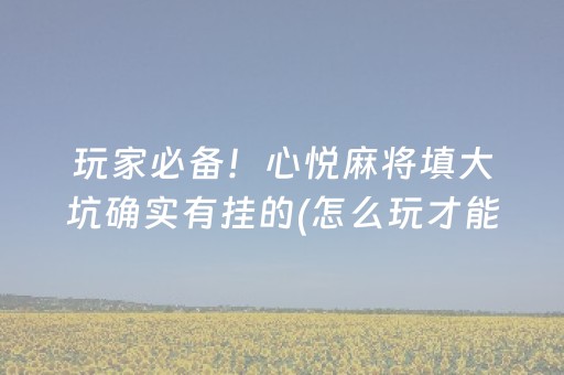 玩家必备！心悦麻将填大坑确实有挂的(怎么玩才能赢)
