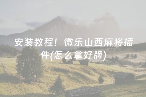 安装教程！微乐山西麻将插件(怎么拿好牌)