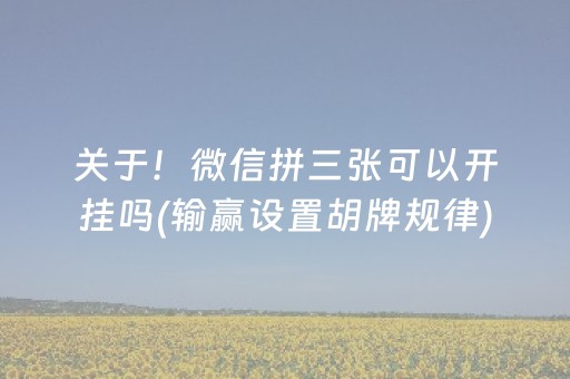 关于！微信拼三张可以开挂吗(输赢设置胡牌规律)