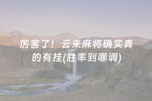 厉害了！云来麻将确实真的有挂(胜率到哪调)