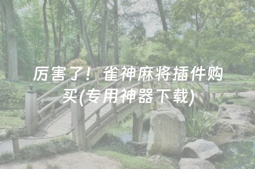 厉害了！雀神麻将插件购买(专用神器下载)