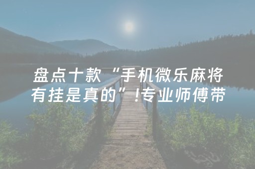 盘点十款“手机微乐麻将有挂是真的”!专业师傅带你一起了解（详细教程）-抖音